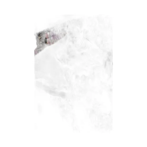 Palm Angels X Vilebrequin Graphic Printed Swim Shorts
