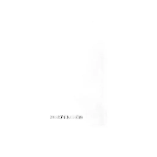 Michael Michael Kors Jet Set Medium Crossbody Bag