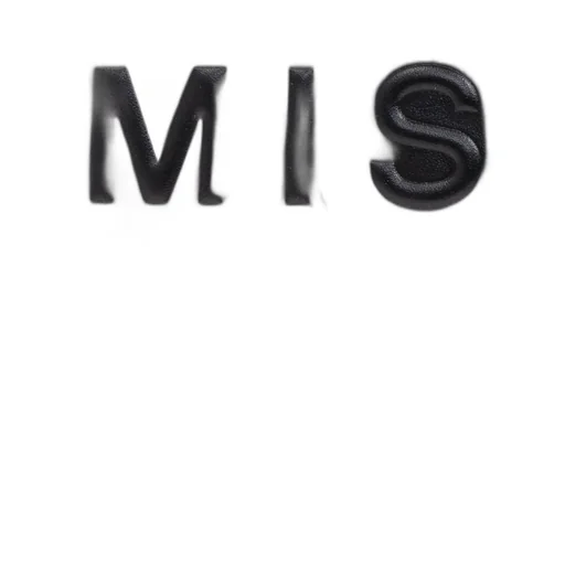 Misbhv London Bag