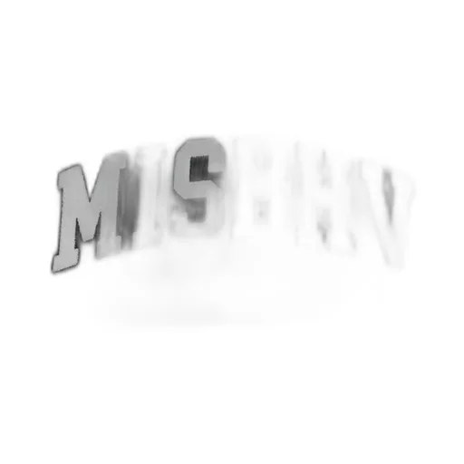 Misbhv Varsity Pleated Mini Skirt