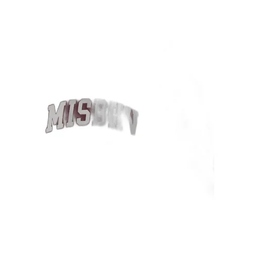 Misbhv Varsity Pleated Mini Skirt