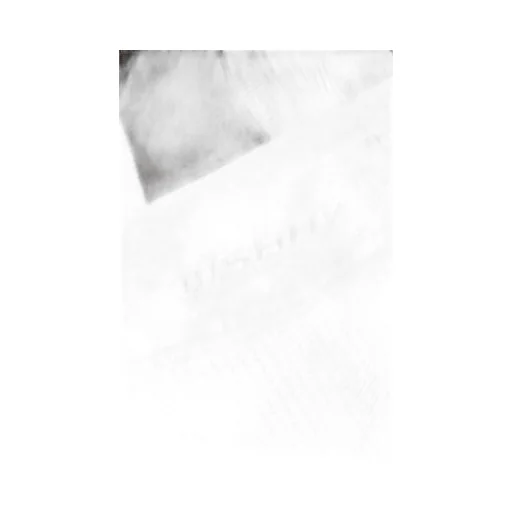 Misbhv Flock Mesh Sport Flared Pants
