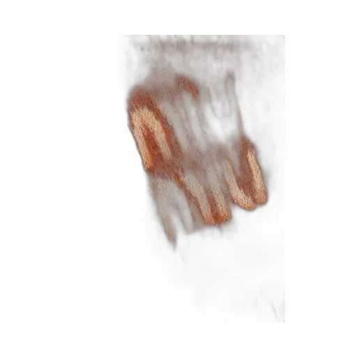 Miu Miu Logo-Detailed Fringed Scarf