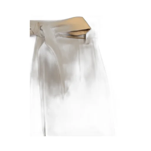 Moncler Pleat Detailed Belted Shorts