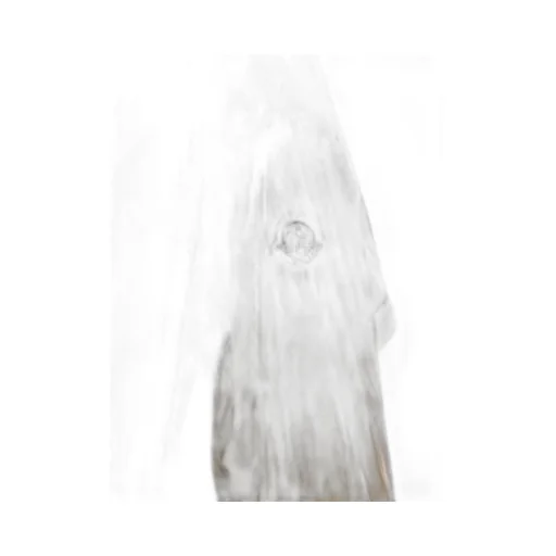 Moncler Drawstring Hooded Jacket