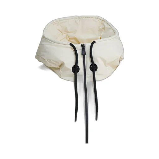 Moncler Grenoble Allesaz Hooded Down Ski Jacket