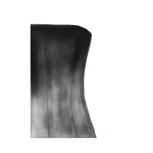 Monot Strapless Corset Top