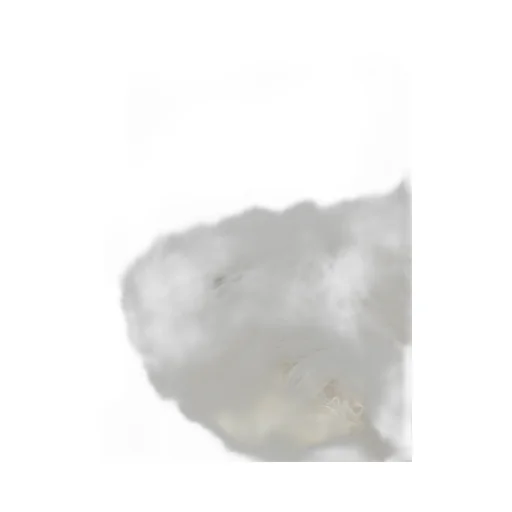 Monot Shearling Gloves