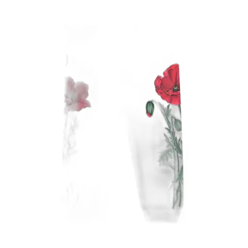 Dolce & Gabbana Kids Floral Printed Drawstring Joggers