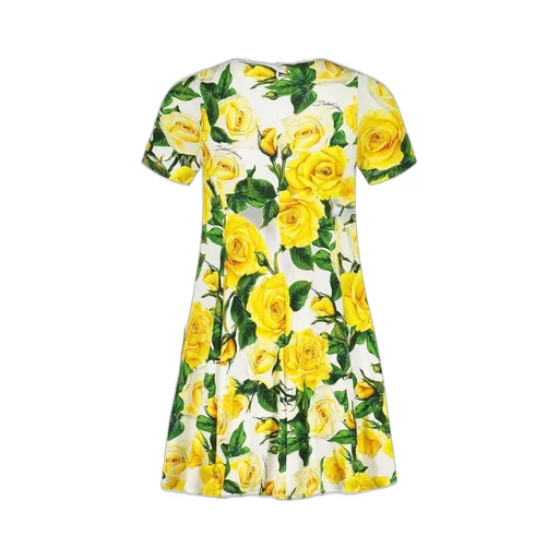 Dolce & Gabbana Kids Rose Printed Crewneck Flared Dress