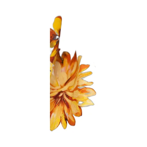 Dolce & Gabbana Kids Flower-Print Poplin Skirt
