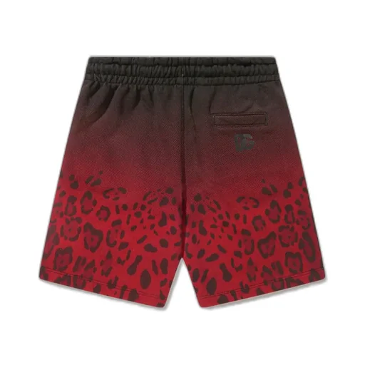 Dolce & Gabbana Kids Gradient Leopard-Printed Drawstring Shorts