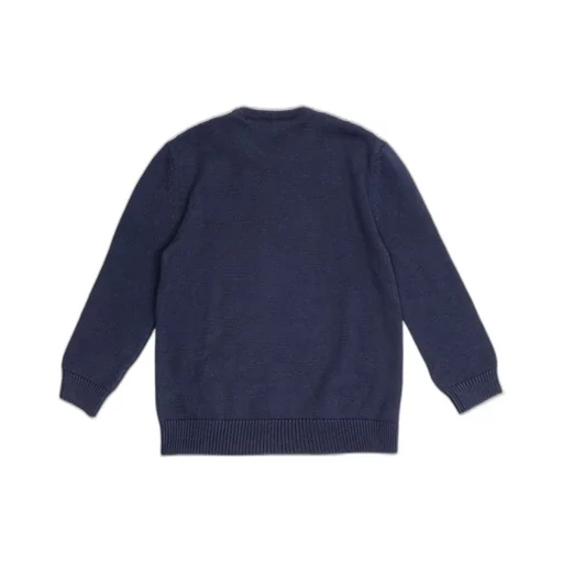 Dolce & Gabbana Kids Logo Printed Crewneck Jumper
