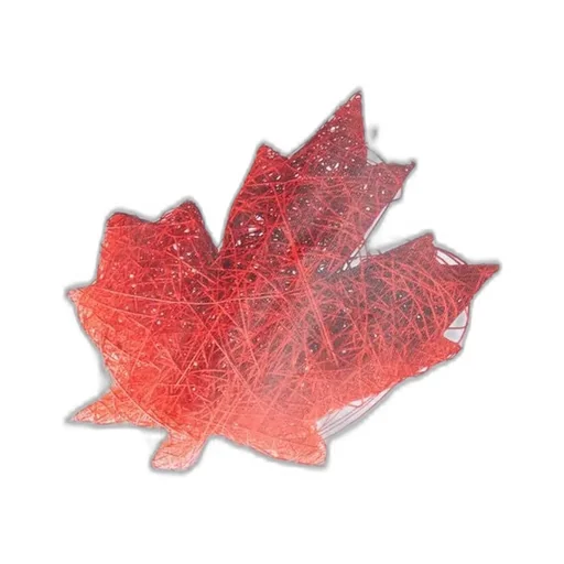 Dsquared2 Kids Maple Leaf Romper