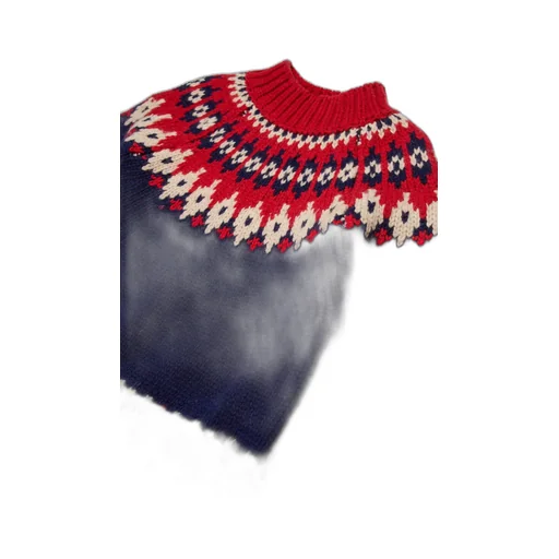 Dsquared2 Kids Turtleneck Knitted Pullover