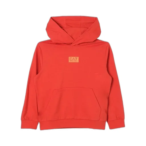 Ea7 Emporio Armani Kids Logo Printed Hoodie