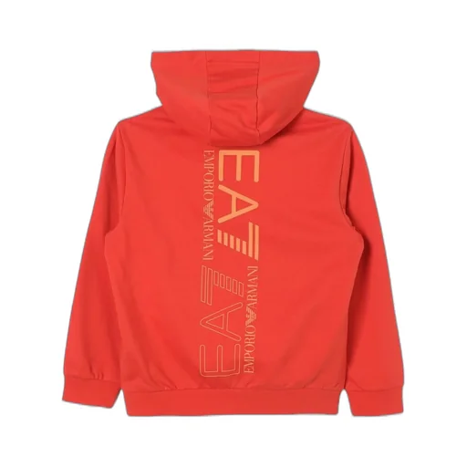 Ea7 Emporio Armani Kids Logo Printed Hoodie