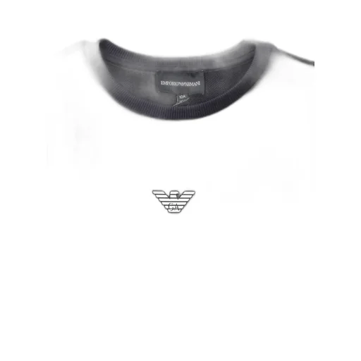 Emporio Armani Kids Logo-Rubberised Crewneck Sweatshirt