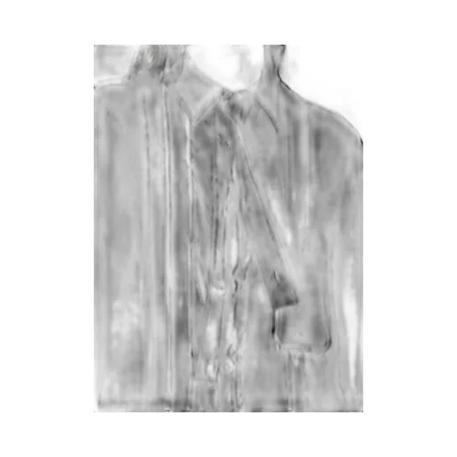 Cellulose Lawn Double Placket Padded Blouse
