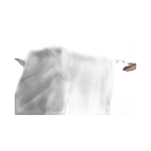 3G1P Brushed Plain Stitch Round Neck Po