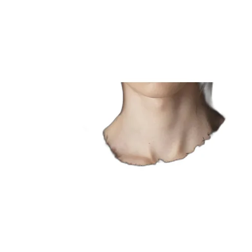 3G1P Brushed Plain Stitch Round Neck Po