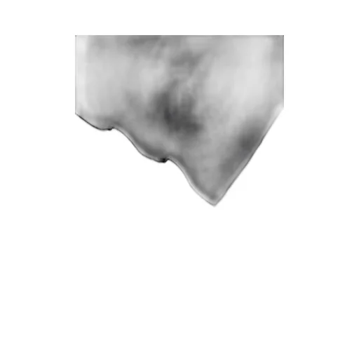 Graphic T-Shirt B Shadow