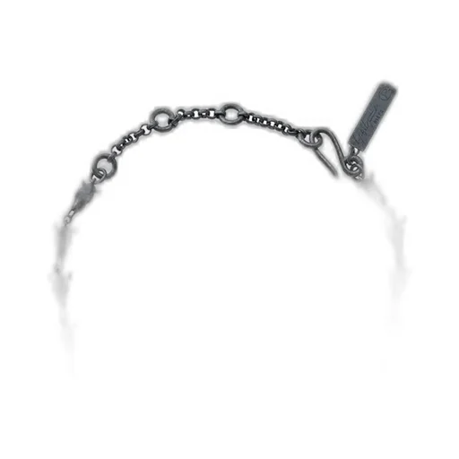 Silver Bk Skull Necklace W/Pendant