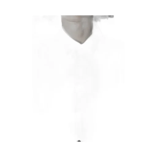 Tr Viyella Back Long Shirt