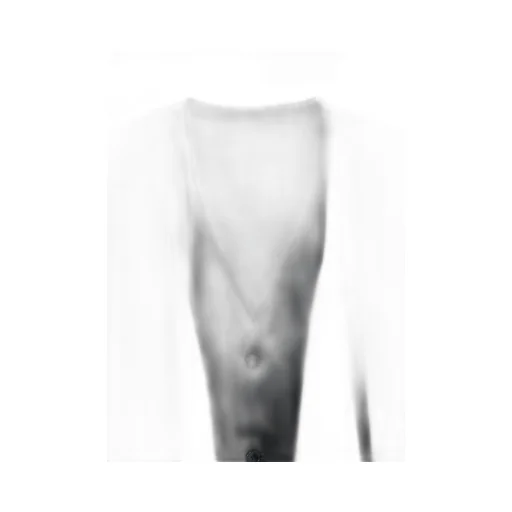Silicon Jersey+ Crepe De Chine Front Double Flounce T-Shirt
