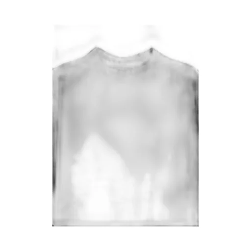 Cotton Jersey Hem Round Jumbo T-Shirt Long Sleeves
