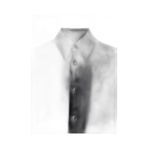 Rayon Twill Short-Sleeve Slim Shirt