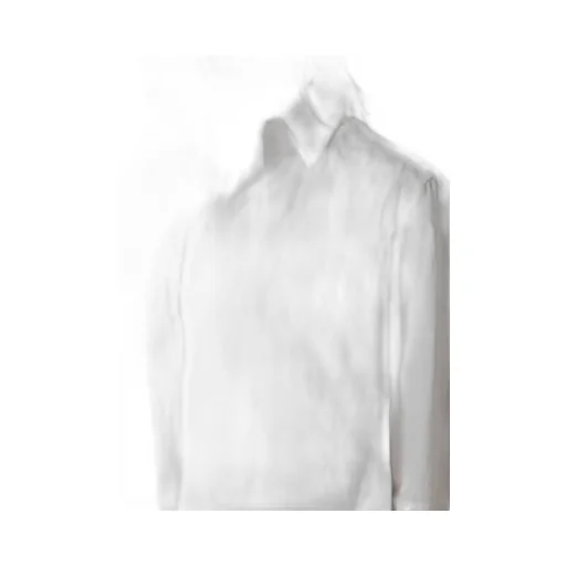 Cotton Broad F Double Layered Blouse
