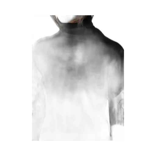 Airy Span Weak Milled Turtleneck Long T-D