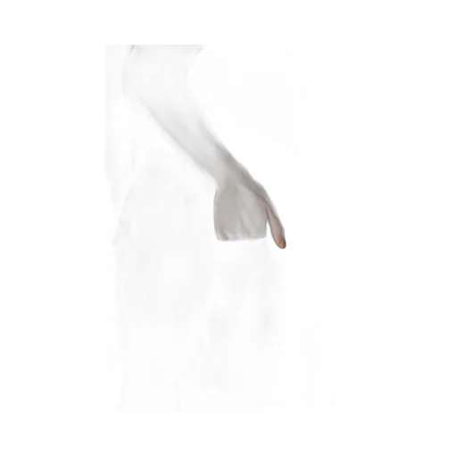Ny/Si Taffeta Flap D Wide Pants