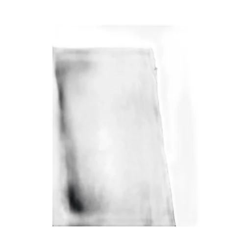 Gabardine Flared Skirt