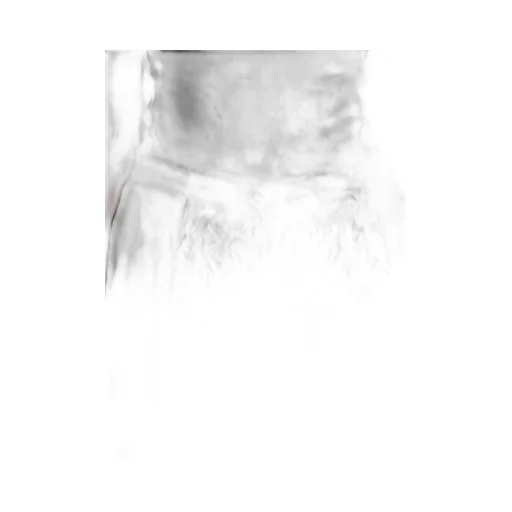 Flares Skirt