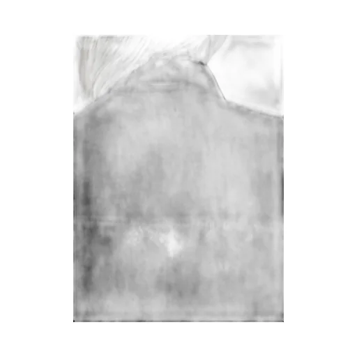 Soft Lawn Long Shirt