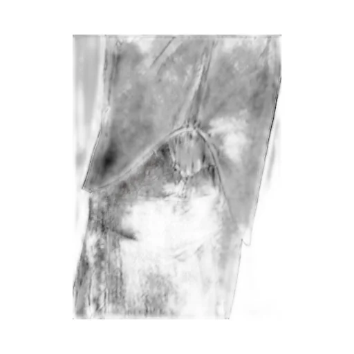 Light Poplin Neck Tuck Shirt