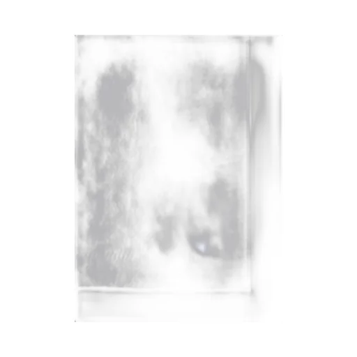 Limi Feu 2Pack T-Shirt