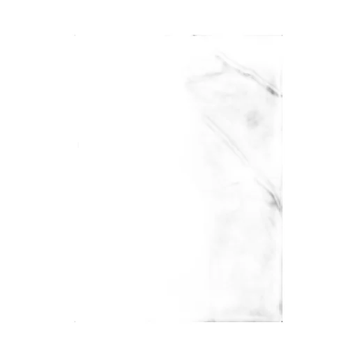 Long Army Jacket