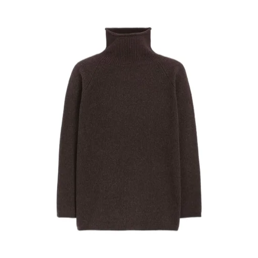 Fine Merino Wool Raglan Turtle Neck