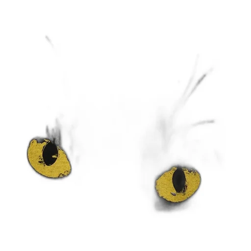 20/Cotton Jersey Cat