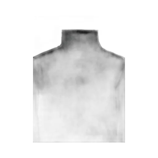 Flocky High Neck Tulle