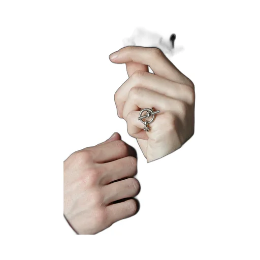Brass Toggle Ring