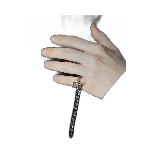 Brass Toggle Ring