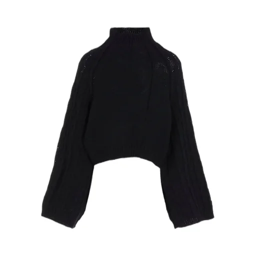 Big Sleeve Knit Pullover