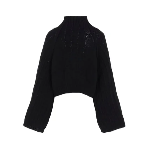 Big Sleeve Knit Pullover