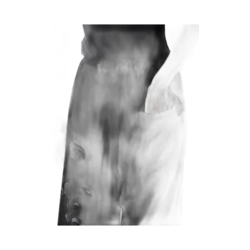 Angel-Print Dungaree Twill Front Plated Wide Pants