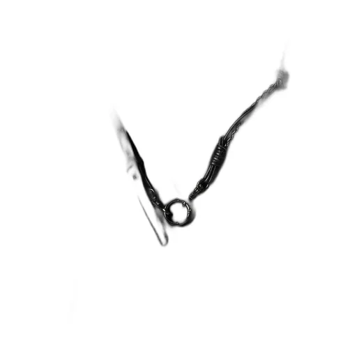 Leather String Combination Strap