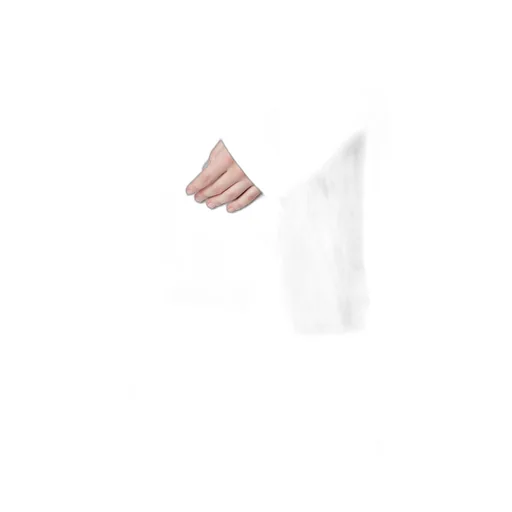 Cotton Voile Back-Side Cloth Stripe Blouse